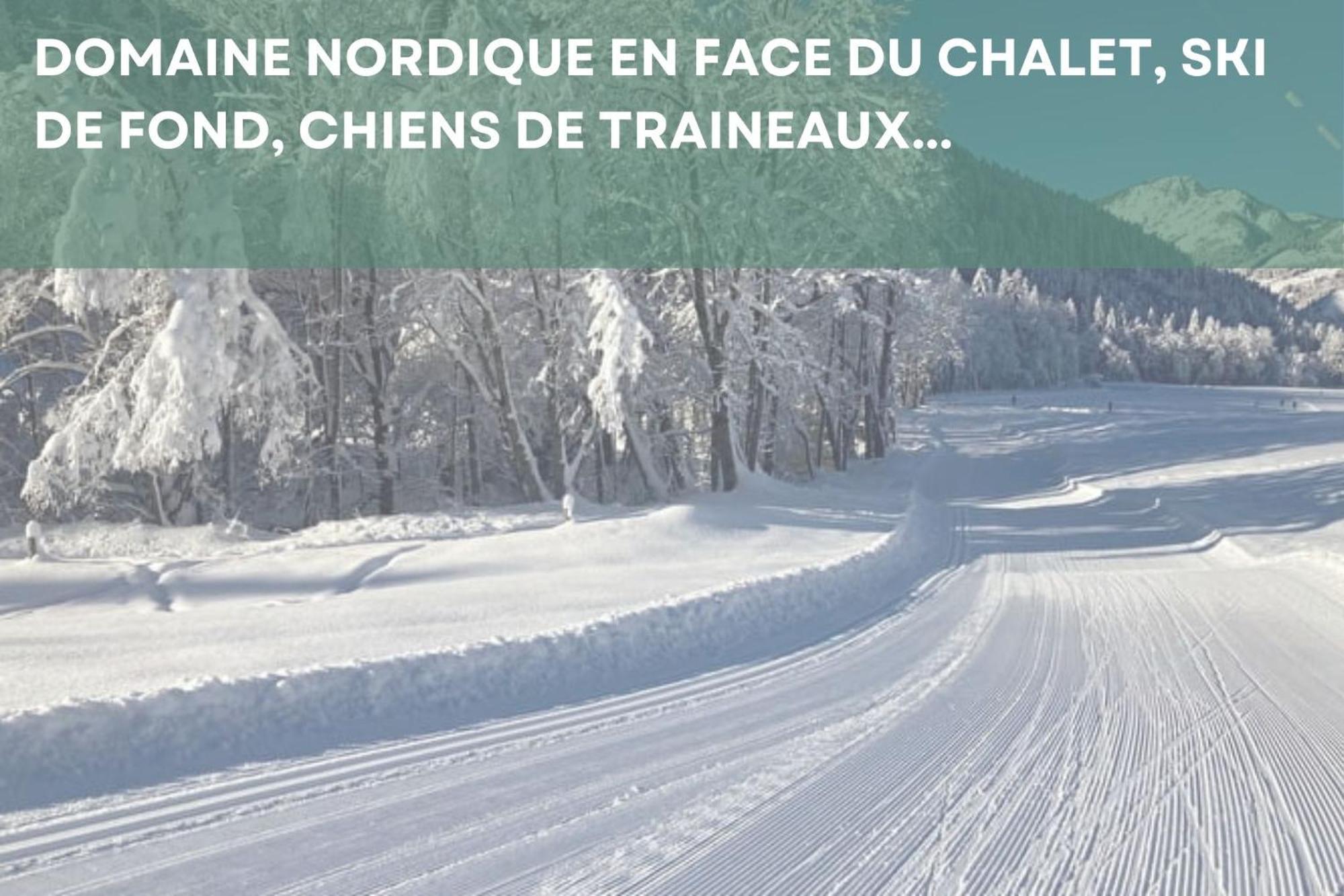 Chalet Les 4 Saisons - Ski, Parking Et Jardin Abondance Exteriör bild