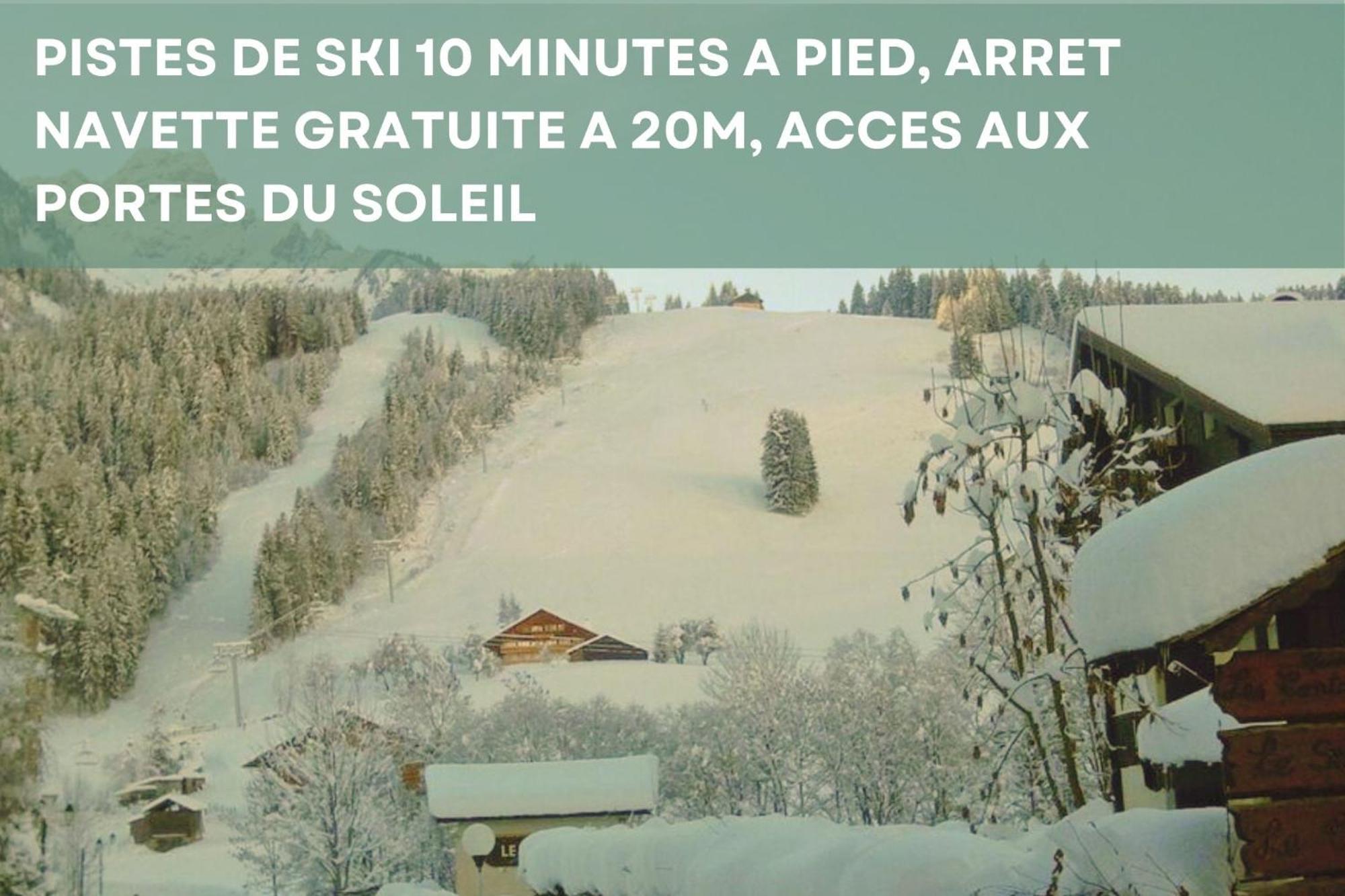 Chalet Les 4 Saisons - Ski, Parking Et Jardin Abondance Exteriör bild